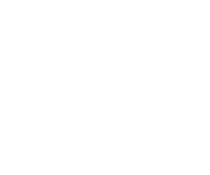 Início 10 Acelerar o crescimento